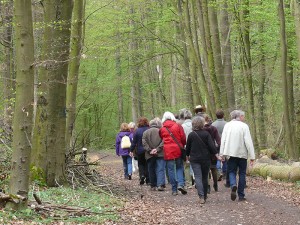 Gruppe_Wald