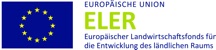 logo_eu_leader